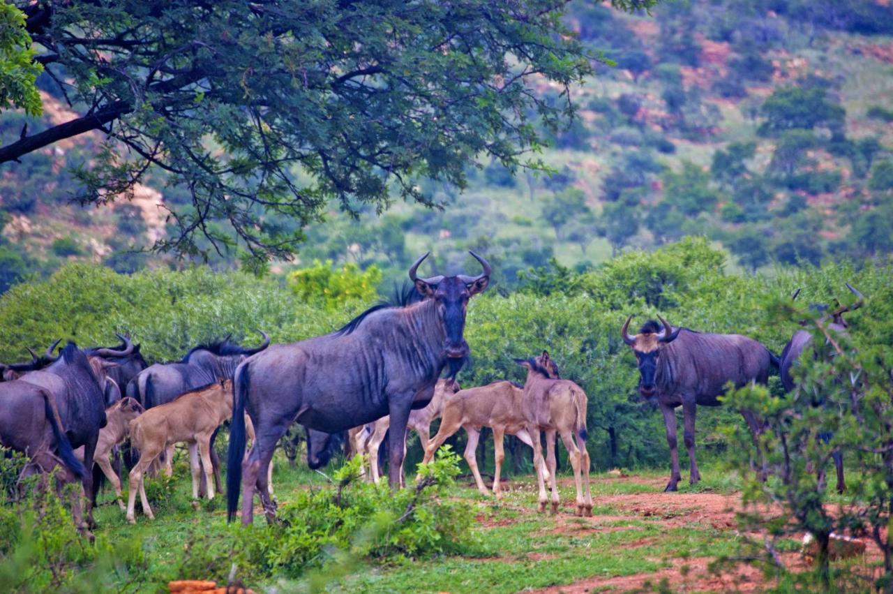 Kedar Heritage Lodge, Conference Centre & Spa Phokeng Экстерьер фото