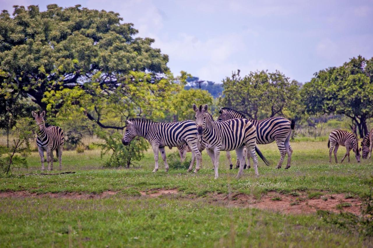 Kedar Heritage Lodge, Conference Centre & Spa Phokeng Экстерьер фото